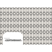 Сертифікат на 1000 грн. от Maletskiy additional